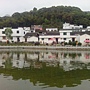 20150421上金貝村 (22).jpg