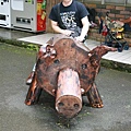 IMG_3497_resize.JPG
