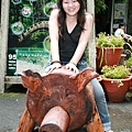 IMG_3498_resize.JPG