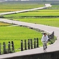 東部旅遊-台東池上