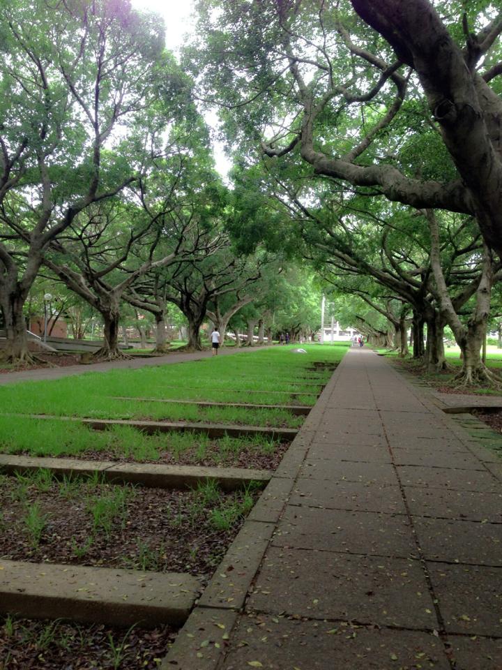 東海大學