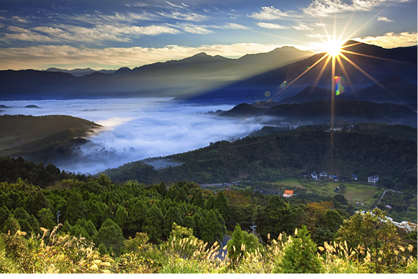 金龍山