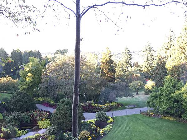 IMG_2963.JPG IMG_2963.JPG