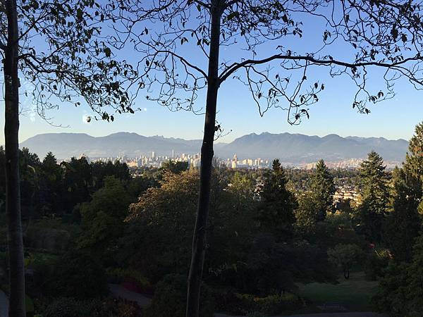 IMG_2966.JPG IMG_2966.JPG