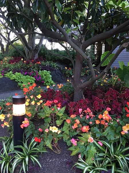 IMG_2976.JPG IMG_2976.JPG