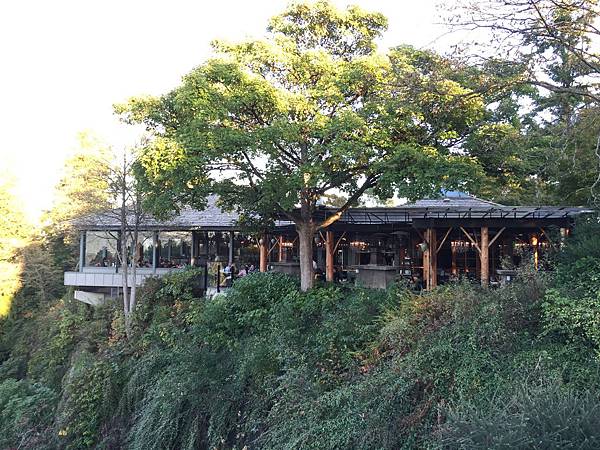 IMG_2984.JPG IMG_2984.JPG