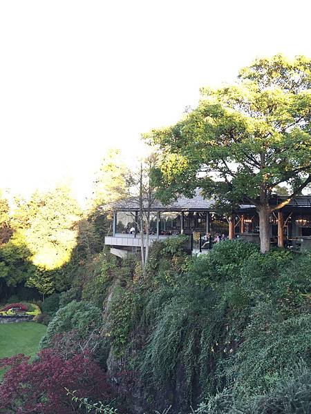 IMG_2985.JPG IMG_2985.JPG