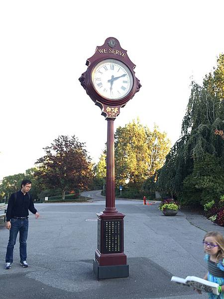 IMG_2995.JPG IMG_2995.JPG