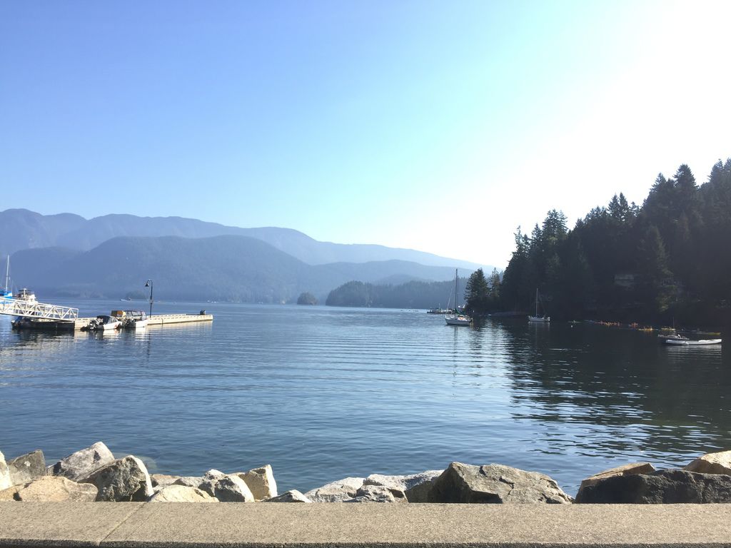 IMG_3020.JPG IMG_3020.JPG