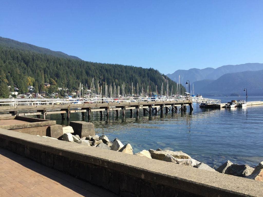 IMG_3021.JPG IMG_3021.JPG