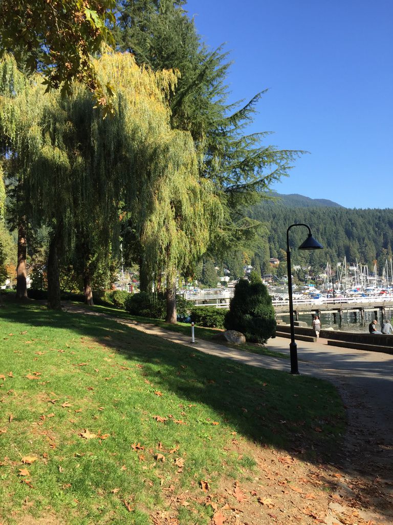 IMG_3019.JPG IMG_3019.JPG