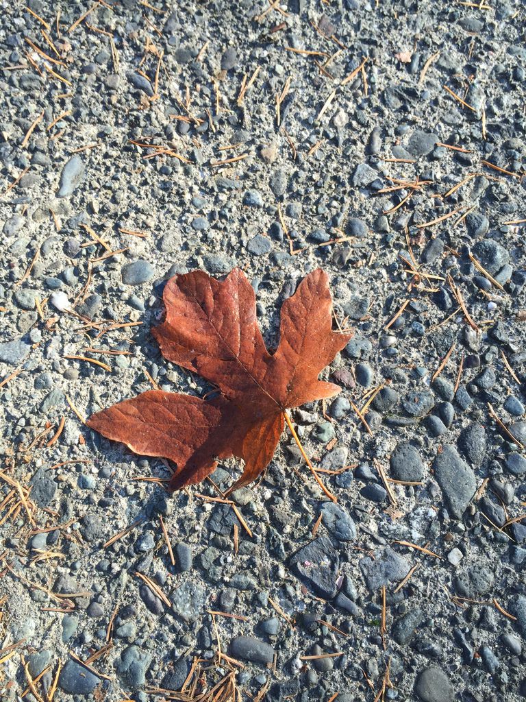 IMG_3026.JPG IMG_3026.JPG