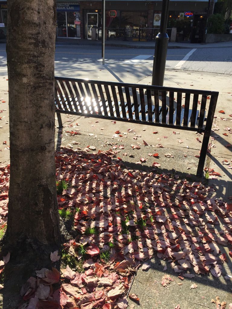 IMG_3032.JPG IMG_3032.JPG