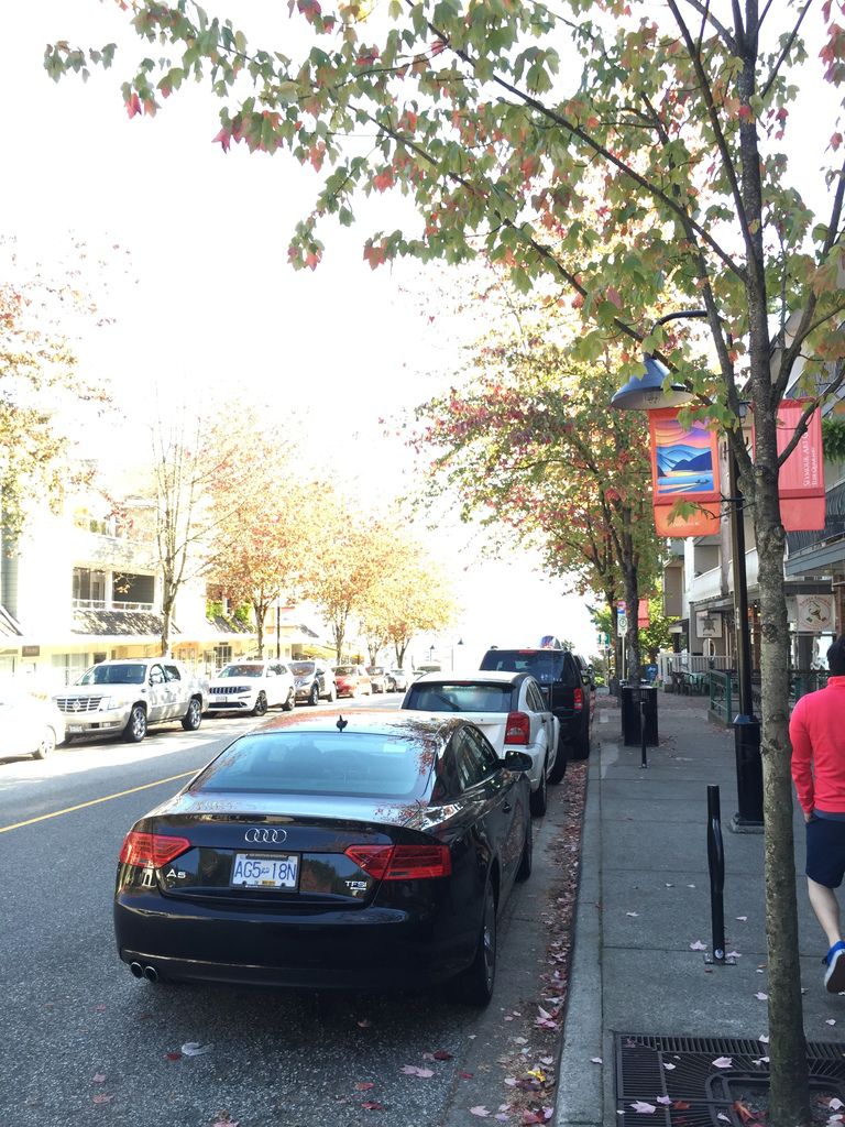 IMG_3034.JPG IMG_3034.JPG