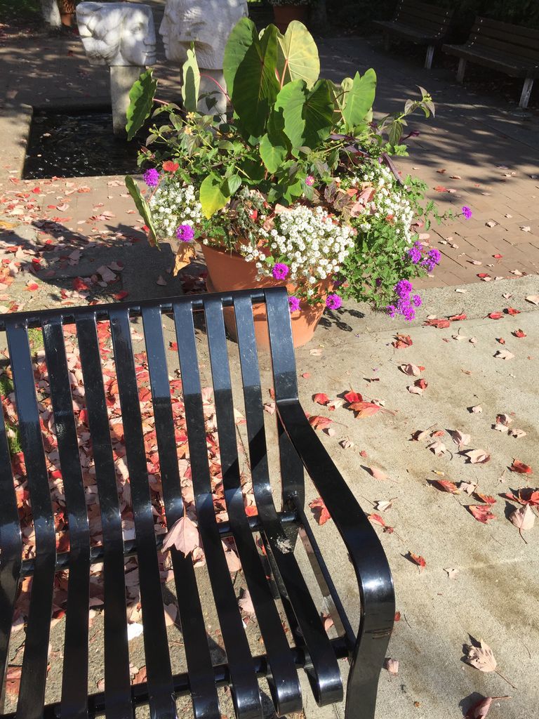 IMG_3033.JPG IMG_3033.JPG