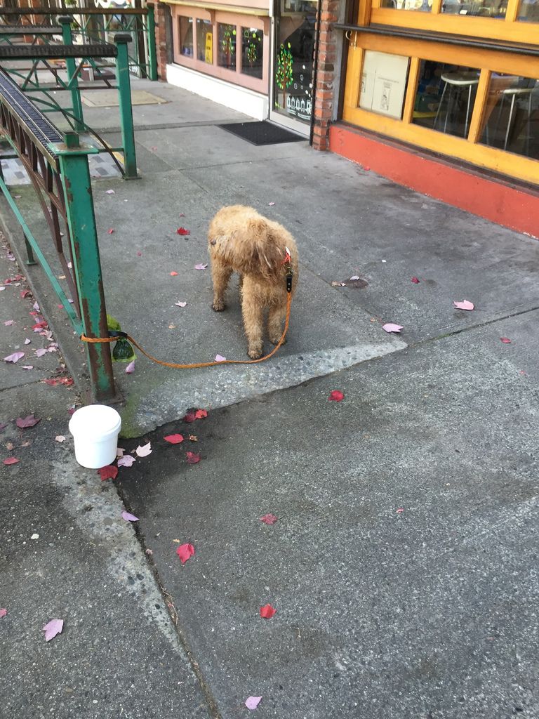 IMG_3045.JPG IMG_3045.JPG