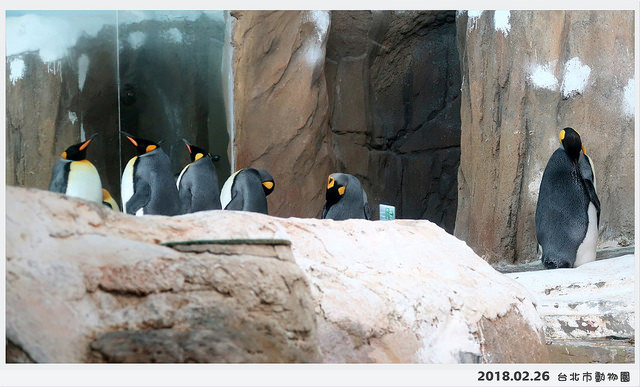 2018.02.26 台北動物園