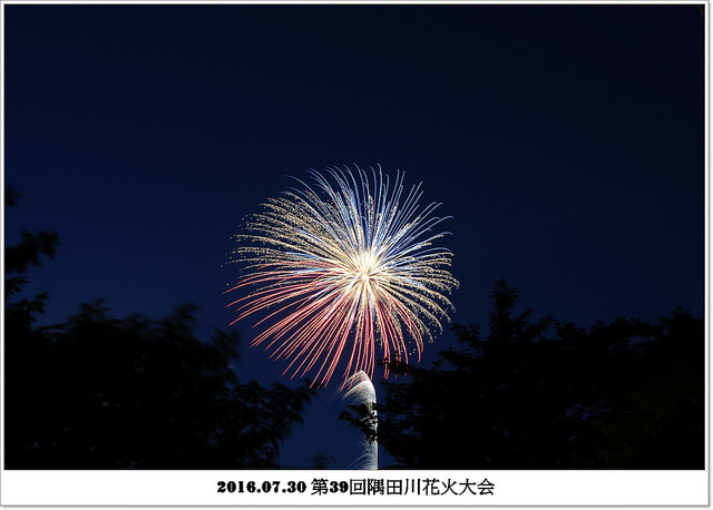 2016.07.30 第39回隅田川花火大会