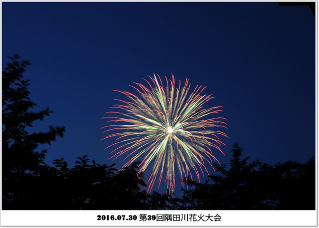 2016.07.30 第39回隅田川花火大会