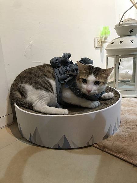 2021-12-04 09.26.55(1638750169.361134).jpeg