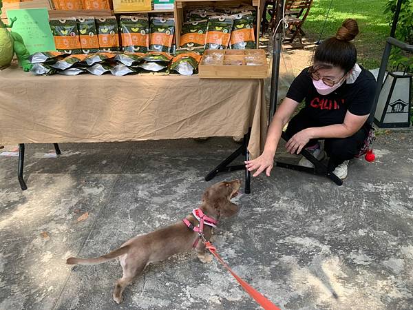 LINE_ALBUM_桃園神社⛩️➕豆花_220710_18