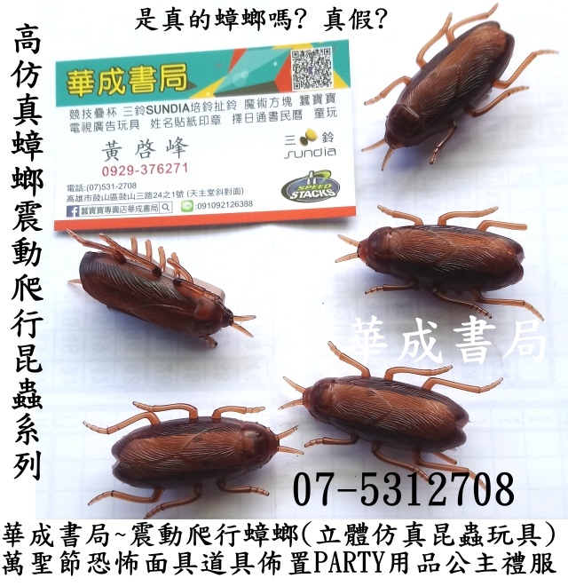 DC高仿真蟑螂震動爬行昆蟲系列玩具-萬聖節面具店華成書局高雄07-5312708,另有無線遙控蠶寶寶,遙控蜜蜂蒼蠅蟑螂蜘蛛小鳥,惡作劇整人玩具搞怪系列蜘蛛,蟑螂,老鼠,蝙蝠,壁虎,小蛇,百足蜈蚣,高仿真震動爬行蟑螂,手銬,萬聖節道具面具佈置用品+.jpg