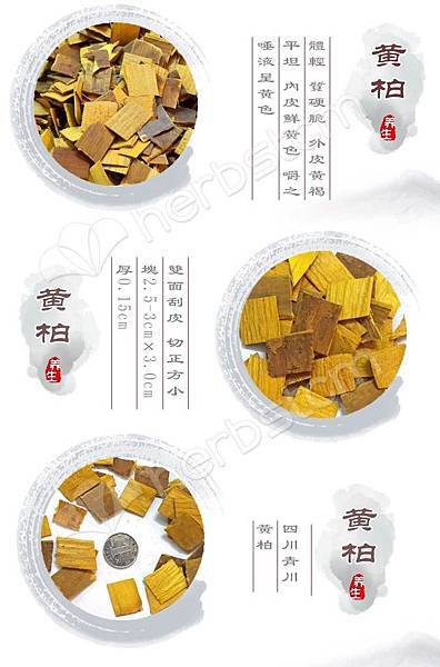 _hk_2.jpg _hk_2.jpg