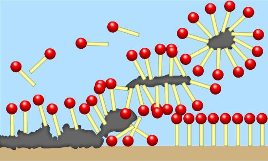 1414571510-1721841981.jpg 1414571510-1721841981.jpg