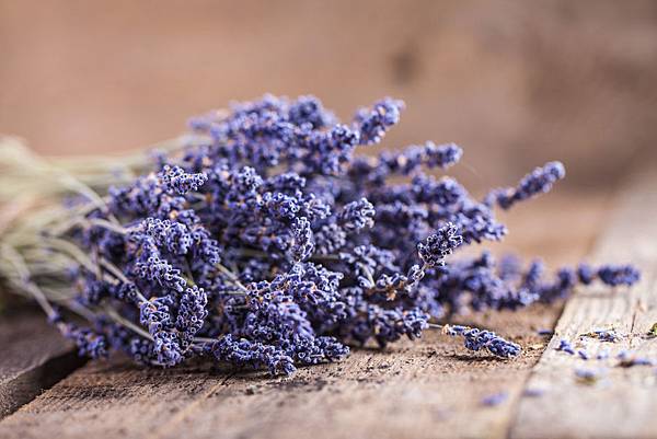 ban-si-hoa-lavender-hcm-11.jpg ban-si-hoa-lavender-hcm-11.jpg