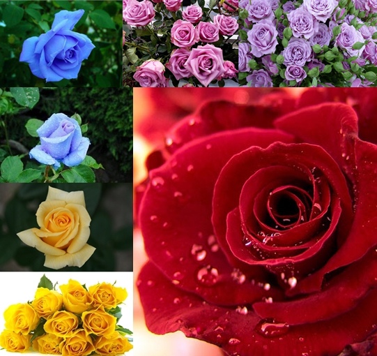49660b10-5a5c-4ff4-827c-04df5320f5a5-horz-vert.jpg 49660b10-5a5c-4ff4-827c-04df5320f5a5-horz-vert.jpg