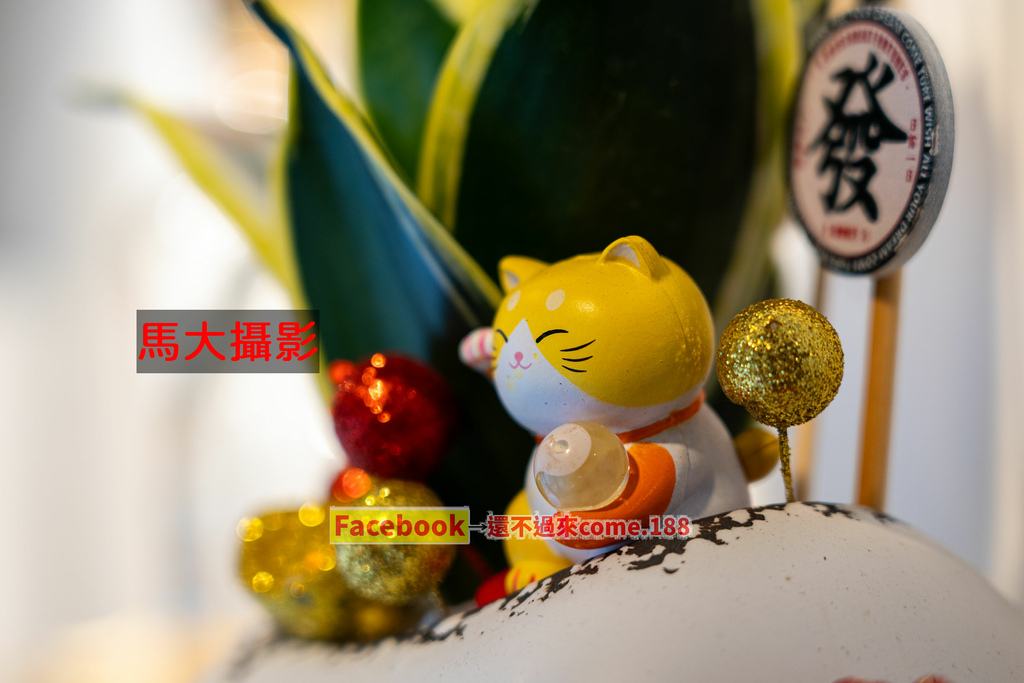 DSC01986-8小.jpg