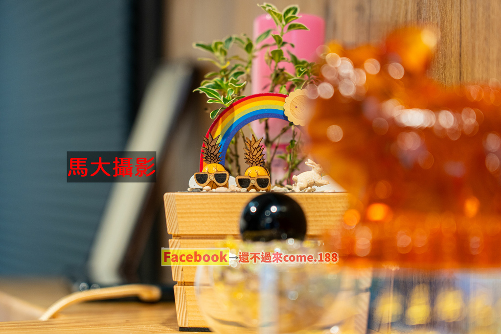 DSC02004-21小.jpg