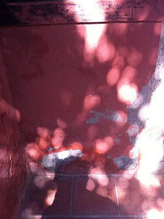 IMG_0186.jpg IMG_0186.jpg
