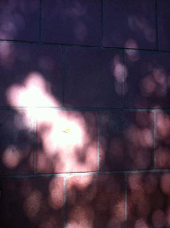 IMG_0195.jpg IMG_0195.jpg