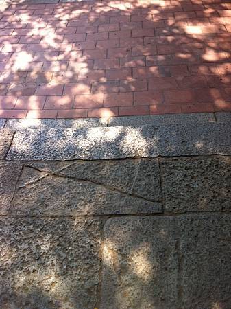IMG_0196.jpg IMG_0196.jpg