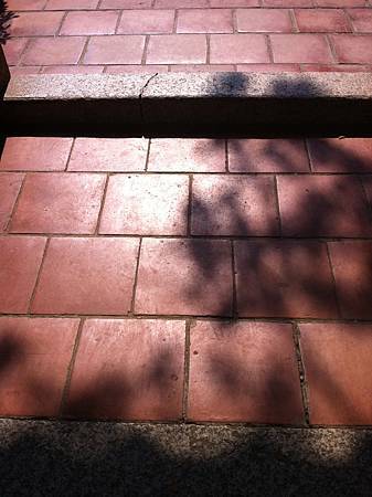 IMG_0225.jpg IMG_0225.jpg