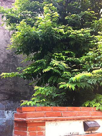 IMG_0276.jpg IMG_0276.jpg