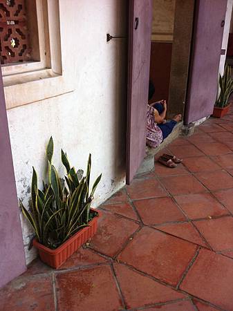 IMG_0228.jpg IMG_0228.jpg