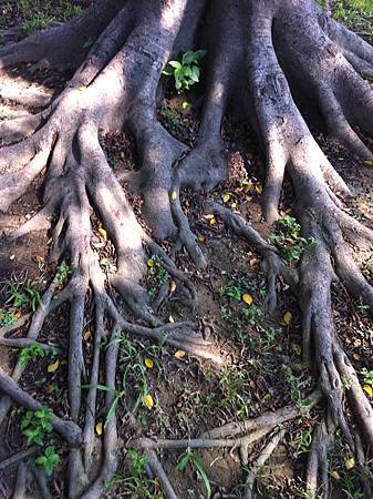 IMG_0238.jpg IMG_0238.jpg
