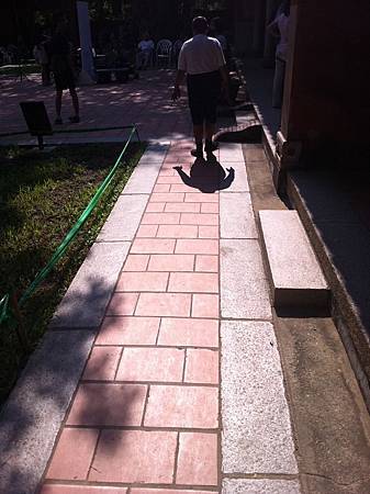 IMG_0250.jpg IMG_0250.jpg