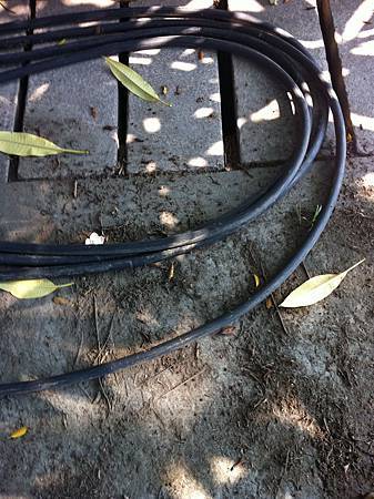 IMG_0255.jpg IMG_0255.jpg