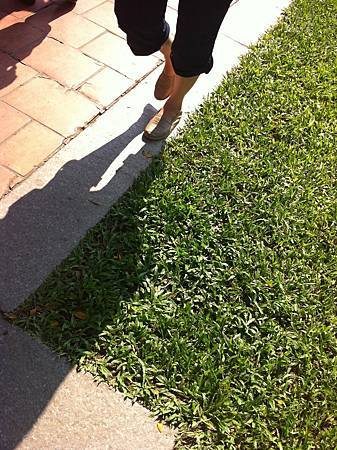 IMG_0263.jpg IMG_0263.jpg