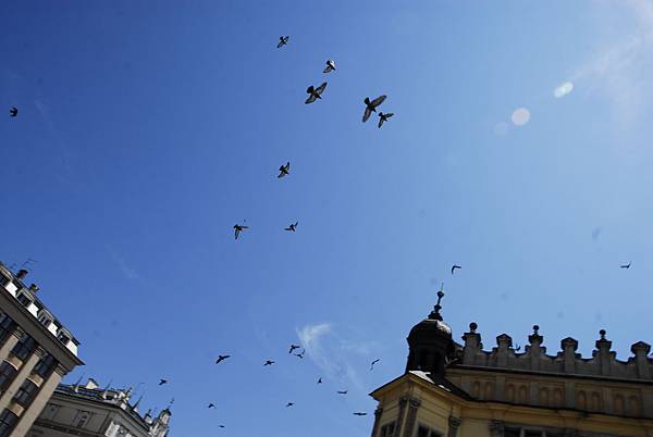 _DSC0200.JPG _DSC0200.JPG