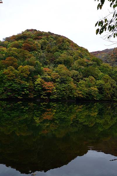 DSC01723.JPG DSC01723.JPG