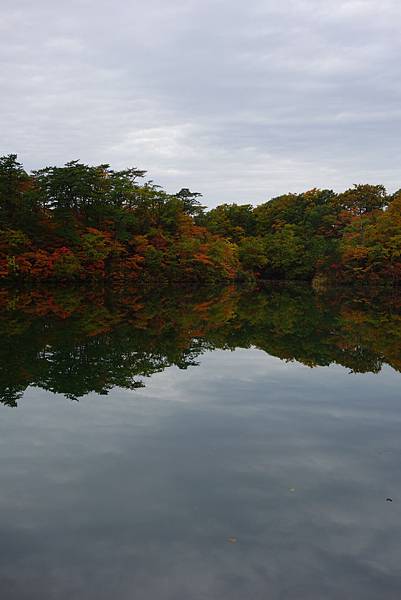DSC01774.JPG DSC01774.JPG