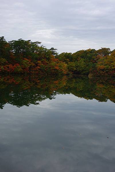DSC01775.JPG DSC01775.JPG