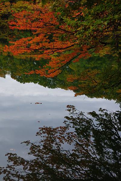 DSC01789.JPG DSC01789.JPG