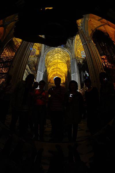 DSC_4235.JPG DSC_4235.JPG