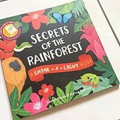 Secrets of The Rainforest