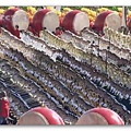 2009年慶祝中華人民共和國成立60周年閱兵式-027.jpg